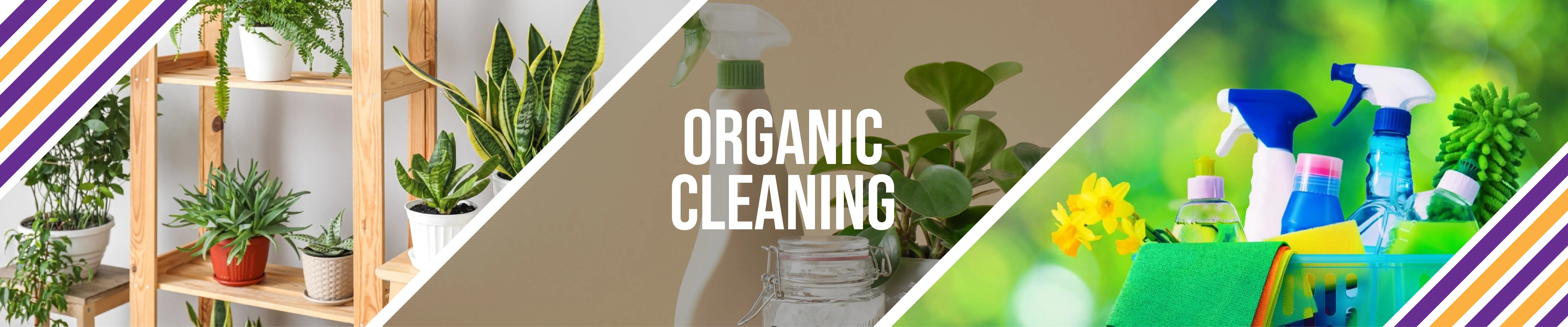 carpet cleaning, carpet cleaners, cleaning services, cleaning services in si, cleaning services in staten island, carpet cleaning in si, carpet cleaning in staten island, carpet cleaning si, carpet cleaners in si, carpet cleaners in staten island, carpet cleaning services, si carpet cleaning, si carpet cleaners, staten island carpet cleaning, staten island carpet cleaners, staten island carpet cleaning services, rug cleaning, rug cleaners, si rug cleaning, si rug cleaners, rug cleaning in si, rug cleaners in si, commercial carpet cleaning, commercial carpet cleaning in si, si commercial carpet cleaning, upholstery cleaning, upholstery cleaning si, upholstery cleaners in si, si upholstery cleaning, si upholstery cleaners, bed bug treatment, bed bug treatment si, si bed bug treatment, stain removal, stain removal si