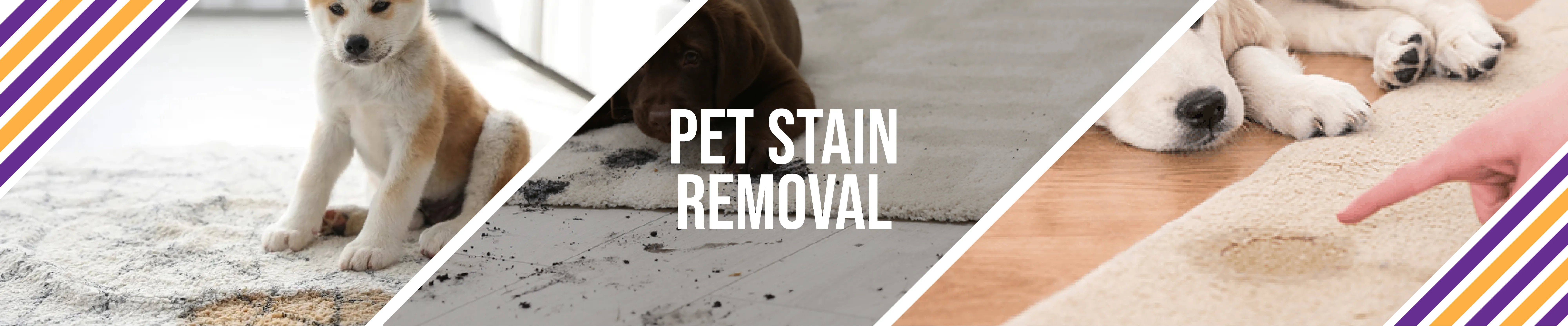 carpet cleaning, carpet cleaners, cleaning services, cleaning services in si, cleaning services in staten island, carpet cleaning in si, carpet cleaning in staten island, carpet cleaning si, carpet cleaners in si, carpet cleaners in staten island, carpet cleaning services, si carpet cleaning, si carpet cleaners, staten island carpet cleaning, staten island carpet cleaners, staten island carpet cleaning services, rug cleaning, rug cleaners, si rug cleaning, si rug cleaners, rug cleaning in si, rug cleaners in si, commercial carpet cleaning, commercial carpet cleaning in si, si commercial carpet cleaning, upholstery cleaning, upholstery cleaning si, upholstery cleaners in si, si upholstery cleaning, si upholstery cleaners, bed bug treatment, bed bug treatment si, si bed bug treatment, stain removal, stain removal si