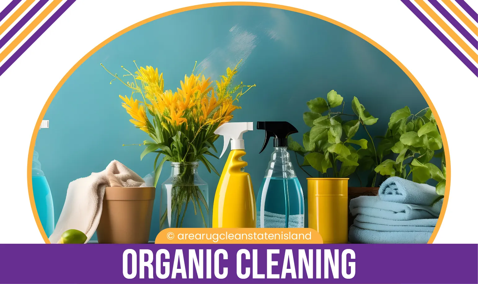 carpet cleaning, carpet cleaners, cleaning services, cleaning services in si, cleaning services in staten island, carpet cleaning in si, carpet cleaning in staten island, carpet cleaning si, carpet cleaners in si, carpet cleaners in staten island, carpet cleaning services, si carpet cleaning, si carpet cleaners, staten island carpet cleaning, staten island carpet cleaners, staten island carpet cleaning services, rug cleaning, rug cleaners, si rug cleaning, si rug cleaners, rug cleaning in si, rug cleaners in si, commercial carpet cleaning, commercial carpet cleaning in si, si commercial carpet cleaning, upholstery cleaning, upholstery cleaning si, upholstery cleaners in si, si upholstery cleaning, si upholstery cleaners, bed bug treatment, bed bug treatment si, si bed bug treatment, stain removal, stain removal si