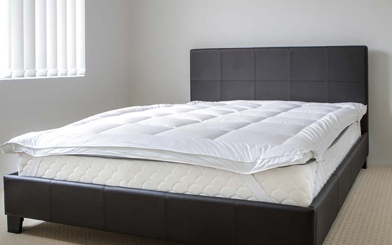 carpet cleaning, carpet cleaners, cleaning services, cleaning services in si, cleaning services in staten island, carpet cleaning in si, carpet cleaning in staten island, carpet cleaning si, carpet cleaners in si, carpet cleaners in staten island, carpet cleaning services, si carpet cleaning, si carpet cleaners, staten island carpet cleaning, staten island carpet cleaners, staten island carpet cleaning services, rug cleaning, rug cleaners, si rug cleaning, si rug cleaners, rug cleaning in si, rug cleaners in si, commercial carpet cleaning, commercial carpet cleaning in si, si commercial carpet cleaning, upholstery cleaning, upholstery cleaning si, upholstery cleaners in si, si upholstery cleaning, si upholstery cleaners, bed bug treatment, bed bug treatment si, si bed bug treatment, stain removal, stain removal si